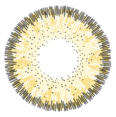 Brownish Hazel